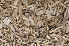 biomass boilers Moredon